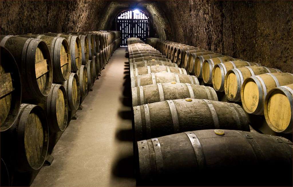 Galicia Tierra de Buenos Vinos