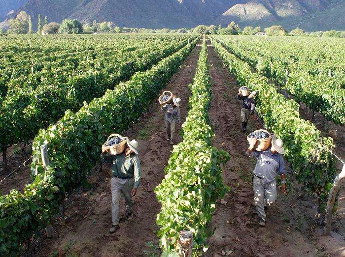 Galicia Tierra de Buenos Vinos