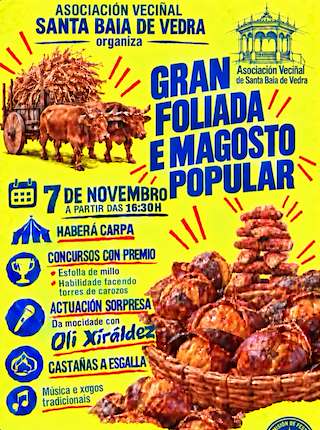 Fechas, información, programa, cartel, imágenes, mapa y ubicación de Gran Foliada e Magosto Popular de Santa Baia (2026)  en  Vedra