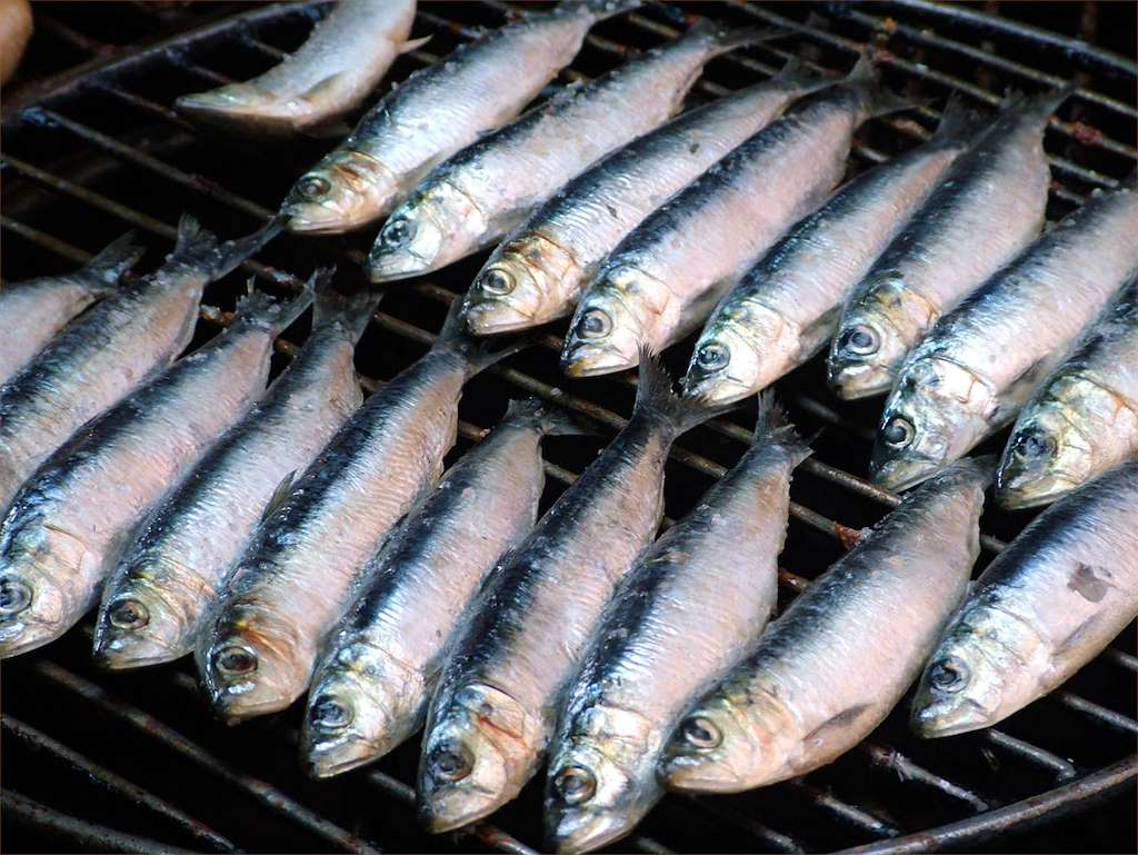 Gran Sardinada de San Juan de Donas en Gondomar