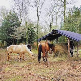 Fechas, información, programa, cartel, imágenes, mapa y ubicación de Granja Labrada  en  Mañón