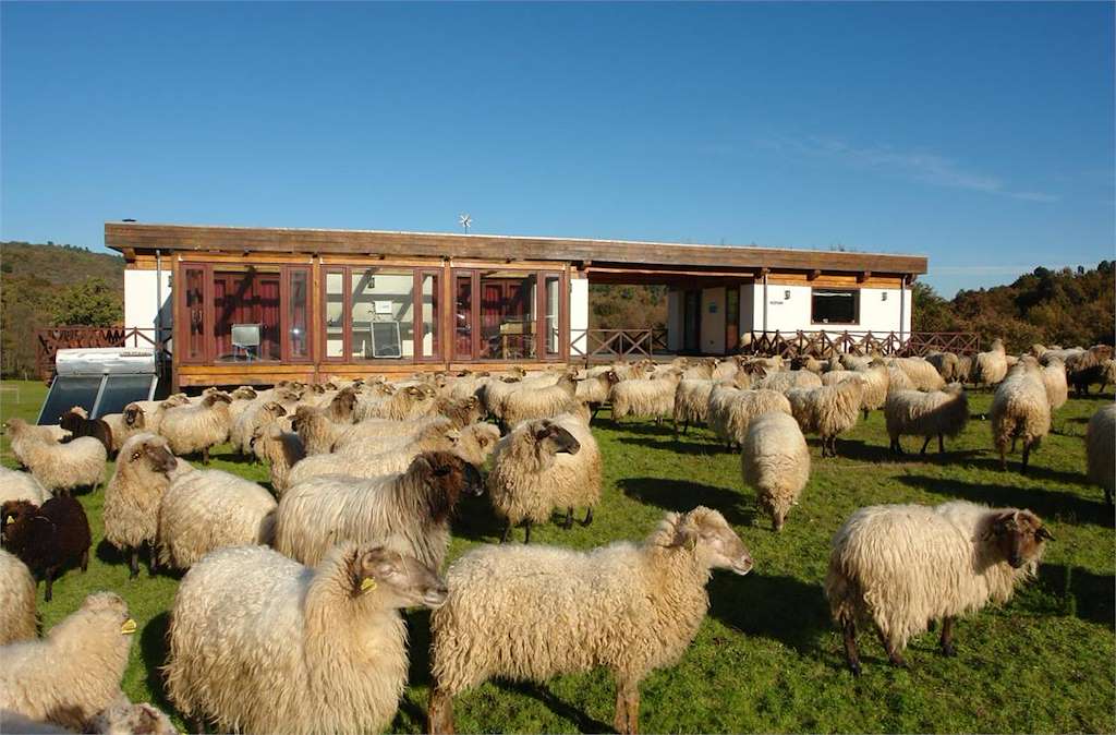 Granxa Educativa Agrogandeira en Allariz