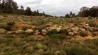 Fechas, información, programa, cartel, imágenes, mapa y ubicación de Henge de Roda (2022)  en  Barreiros