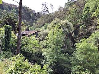 Fechas, información, programa, cartel, imágenes, mapa y ubicación de Herrería de Bogo (2023)  en  A Pontenova