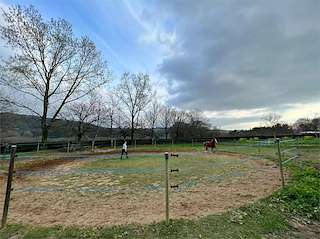 Hipica Amazonas e Cabaleiros 