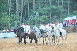 Hípica Club Cabaleiros do Salnés