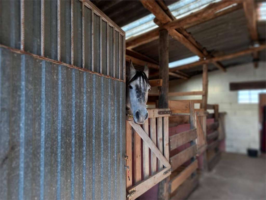 Hipica Os Trancos en Monforte de Lemos