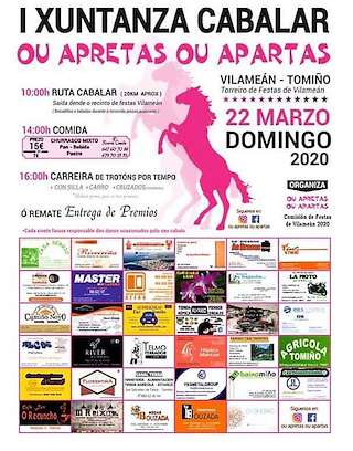 IV Xuntanza Cabalar de Vilameán en Tomiño