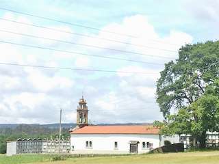 Iglesia de Santo Estevo de Trasmonte