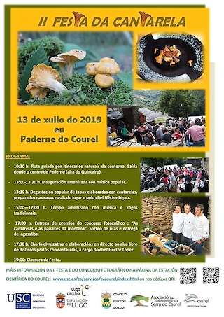 VI Festa da Cantarela en Paderne