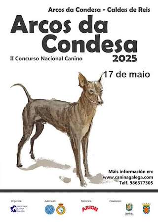 III Festa do Can de Arcos da Condesa (2026) en Caldas de Reis