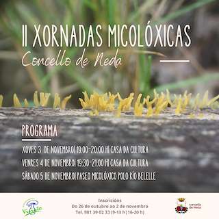 IV Xornadas Micolóxicas en Neda