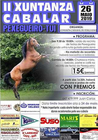 II Xuntanza Cabalar de Pexegueiro en Tui