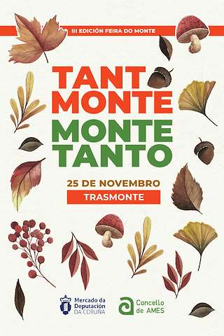 V Feira do Monte Tanto Monte, Monte Tanto en Ames