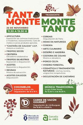 V Feira do Monte Tanto Monte, Monte Tanto en Ames