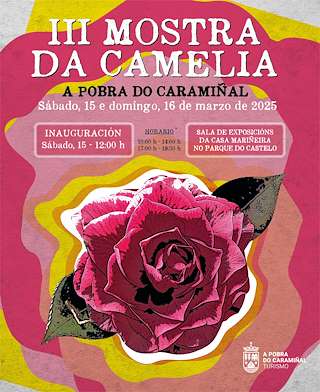 IV Mostra da Camelia  (2026) en A Pobra do Caramiñal