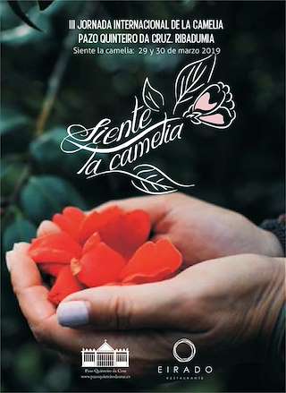 VII Mostra Internacional da Camelia en Ribadumia