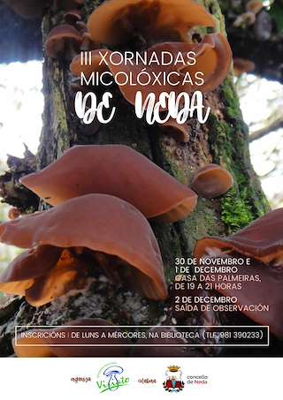 IV Xornadas Micolóxicas en Neda