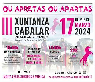IV Xuntanza Cabalar de Vilameán en Tomiño