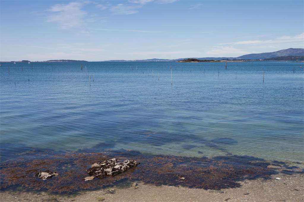 Illa das Briñas en Vilagarcía de Arousa