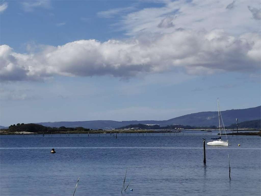 Islas Malveiras en Vilagarcía de Arousa