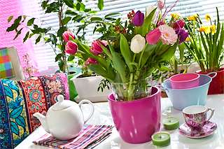 VI Expocasa  en Vilagarcía de Arousa