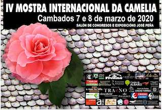 IX Mostra Internacional da Camelia en Cambados