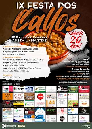 X Festa dos Callos - X Foliada da Pereiriña en Silleda