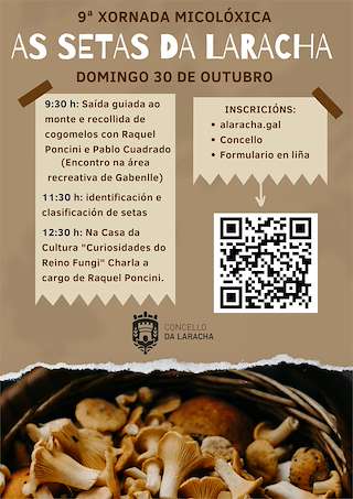 XII Xornada Micolóxica - As Setas en Laracha