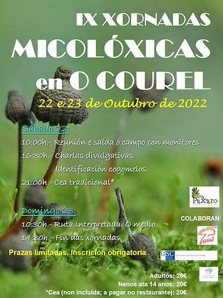XII Xornadas Micolóxicas no Courel (2025) en Folgoso do Courel