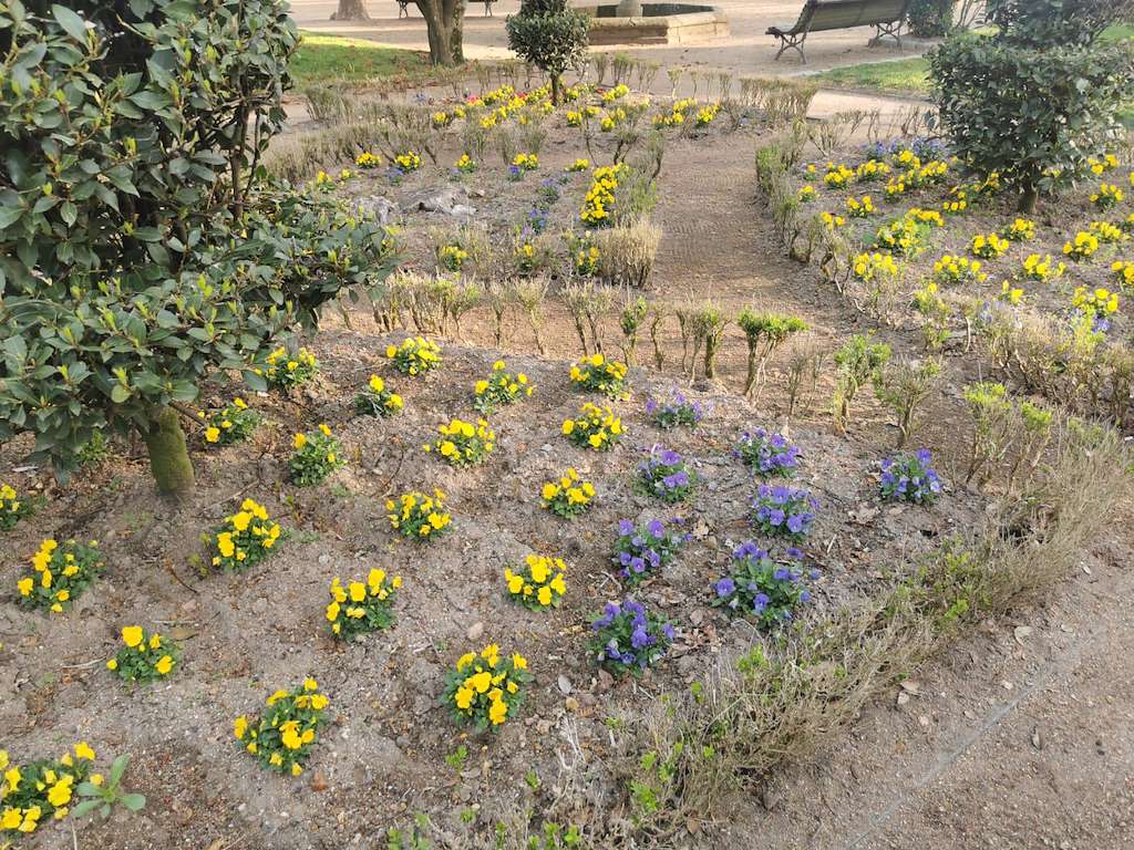 Jardín Botánico-Artístico de Padrón