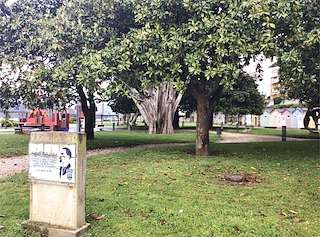 Jardines del Malecón o de Julio Dávila