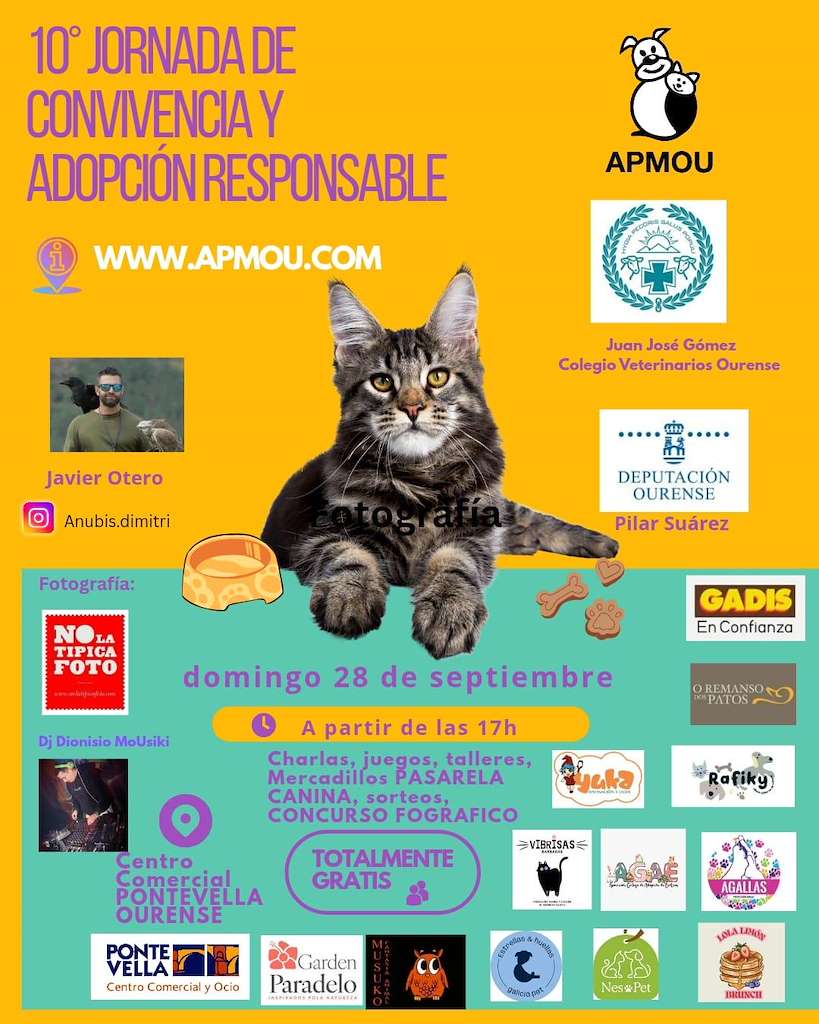 X Jornada de Convivencia Responsable en Ourense