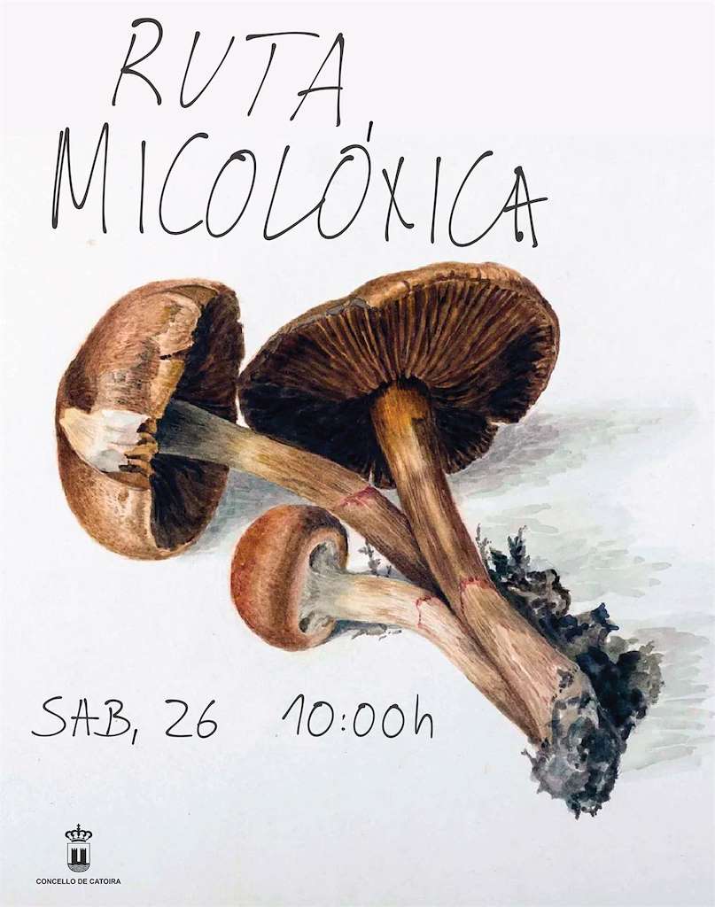 Jornada Micolóxica  en Catoira
