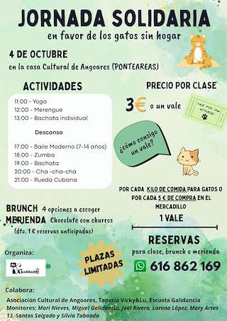 Fechas, información, programa, cartel, imágenes, mapa y ubicación de Jornada Solidaria en Favor de los Gatos sin Hogar  (2025)  en  Ponteareas