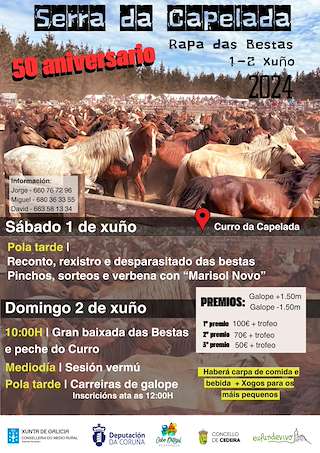 LI Curro da Capelada en Cedeira