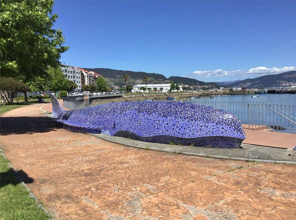 La Ballena de O Con – Anduriña en Moaña