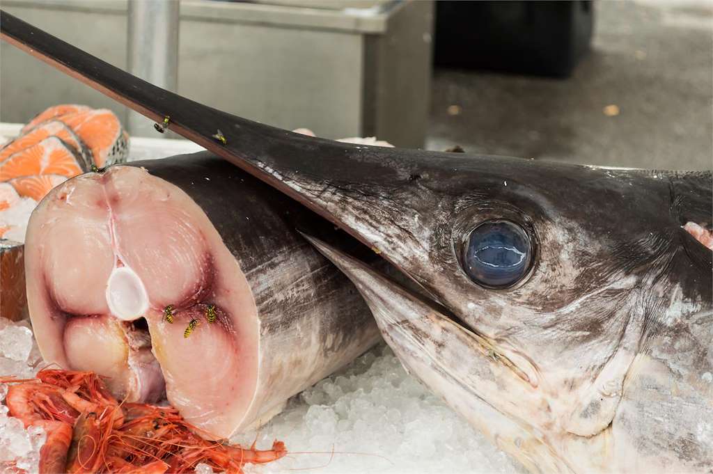 La Lonja de A Coruña