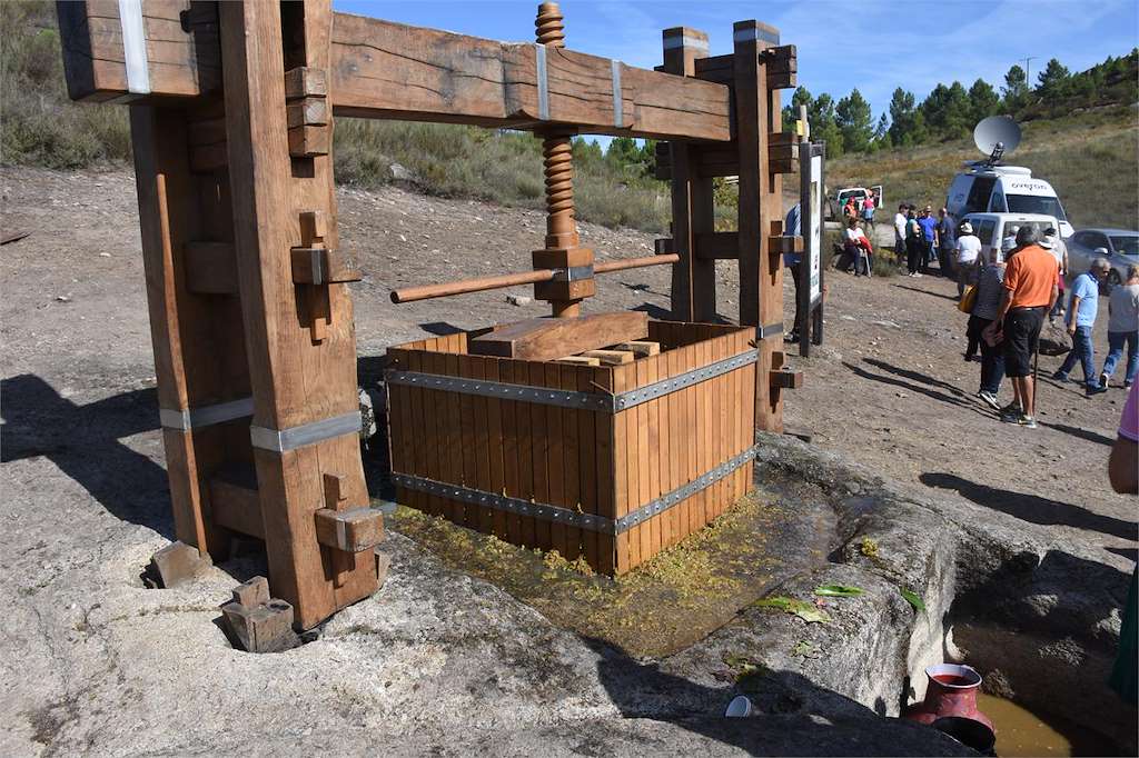 Lagar Rupestre de Xan Preto en Oímbra