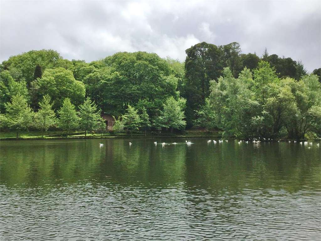Lago Castiñeiras - Cotorredondo en Vilaboa