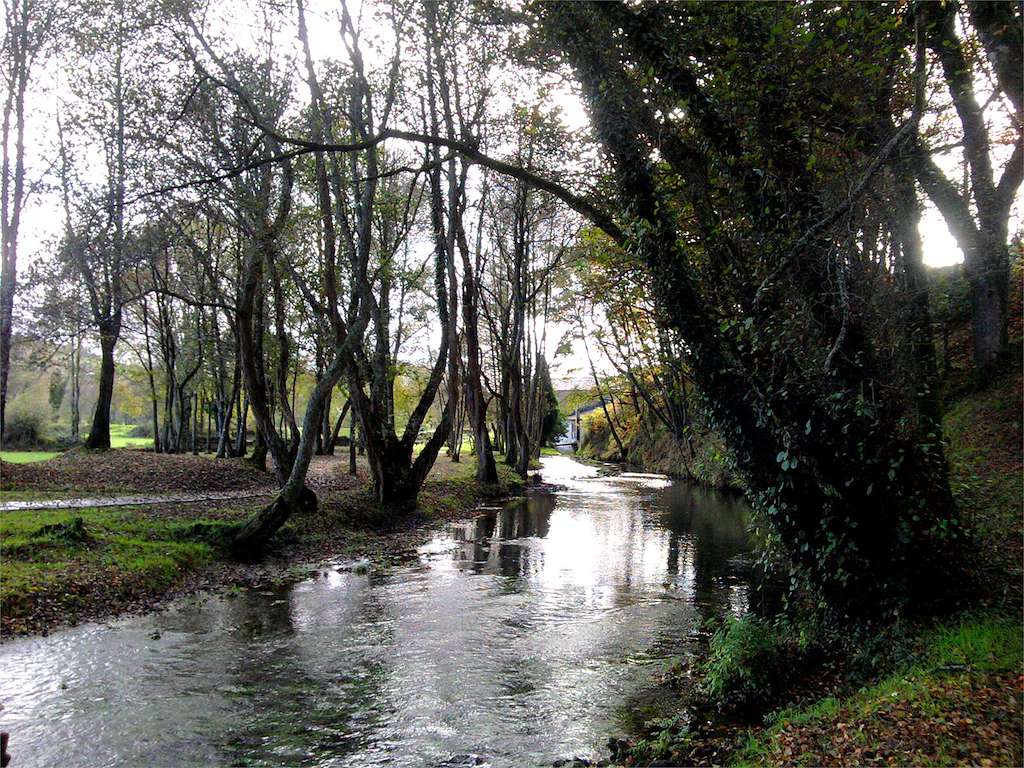 Lagoa de Fonmiñá en Pastoriza