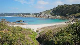 Fechas, información, programa, cartel, imágenes, mapa y ubicación de Lagoelas  en  Cangas