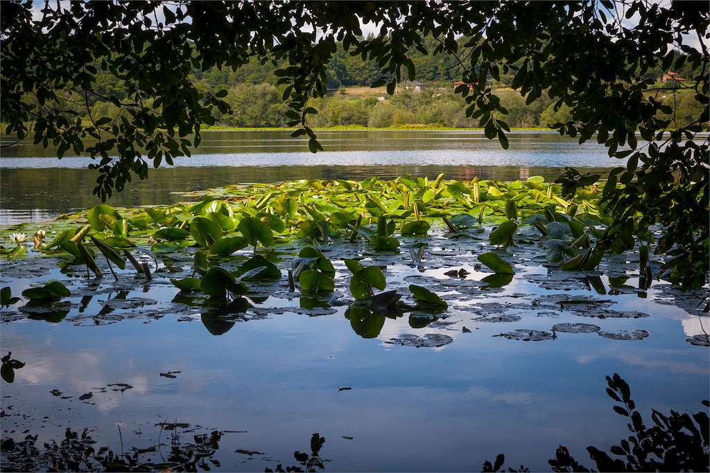 Laguna de Sobrado dos Monxes