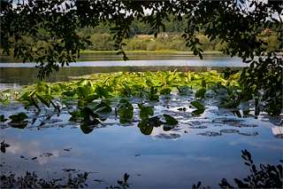 Laguna de Sobrado dos Monxes