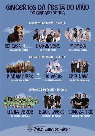 LXVI Festa do Viño do Condado de Tea en Salvaterra do Miño