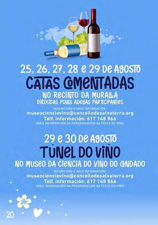 LXVII Festa do Viño do Condado de Tea (2026) en Salvaterra do Miño
