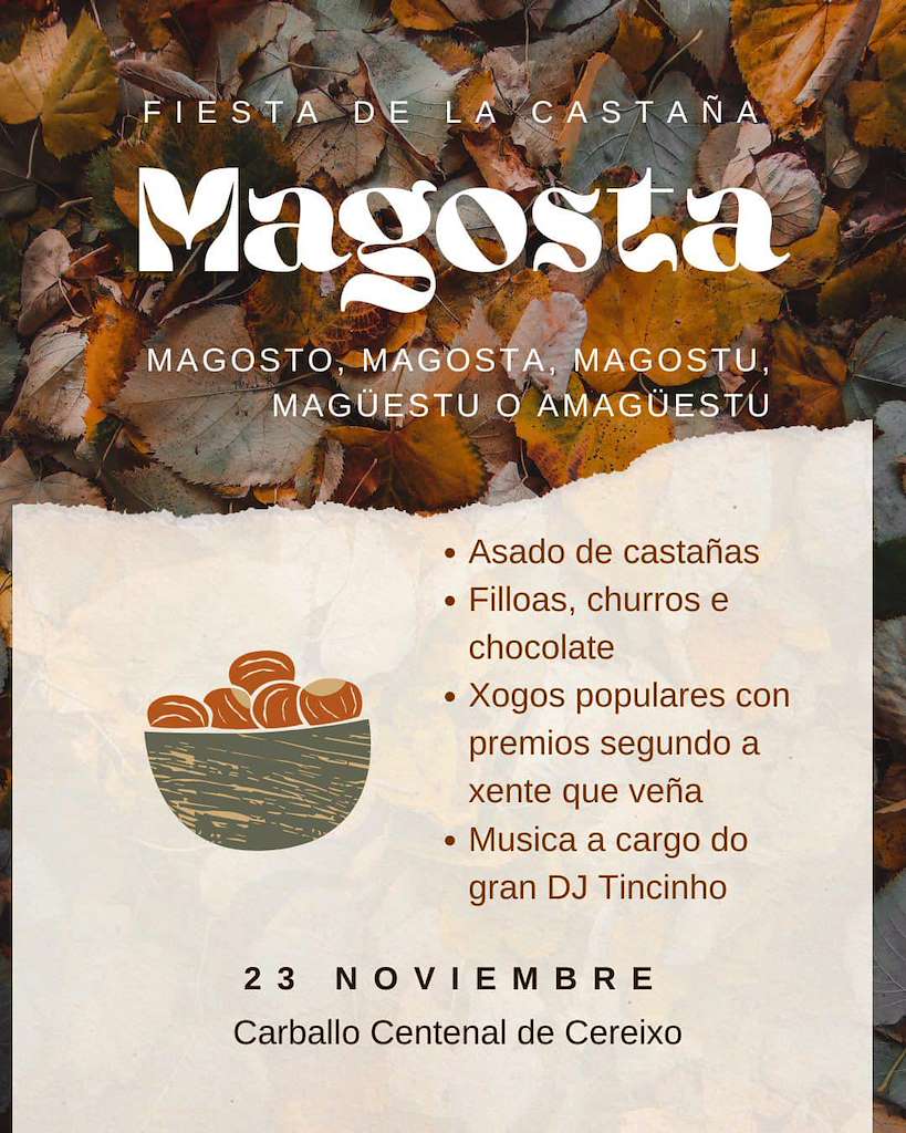 Magosta de Cereixo en Vimianzo