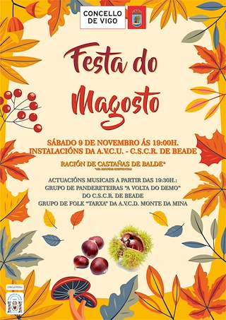 Magosto de Beade en Vigo