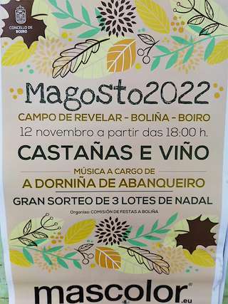 Magosto de Boliña en Boiro