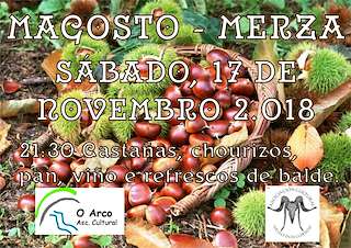 Magosto de Merza  (2025) en Vila de Cruces